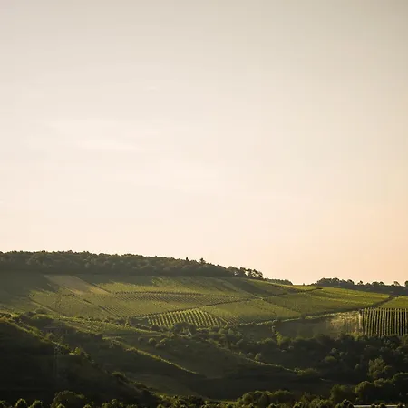 公寓 Weingut Marx - Rotes Haus