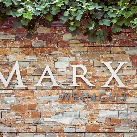 Weingut Marx - Rotes Haus * Windesheim