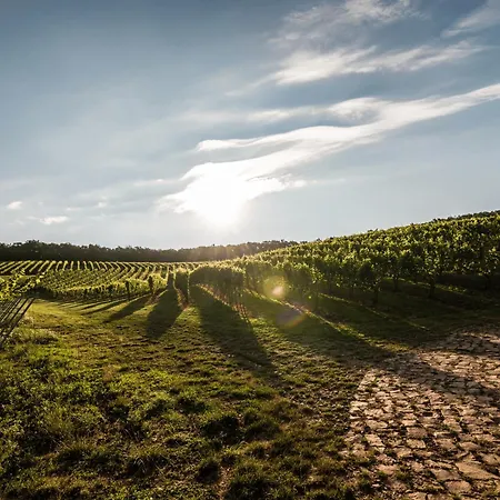 公寓 Weingut Marx - Rotes Haus *