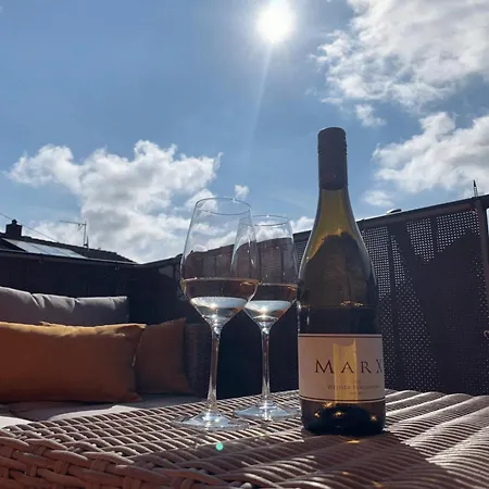 公寓 Weingut Marx - Rotes Haus *