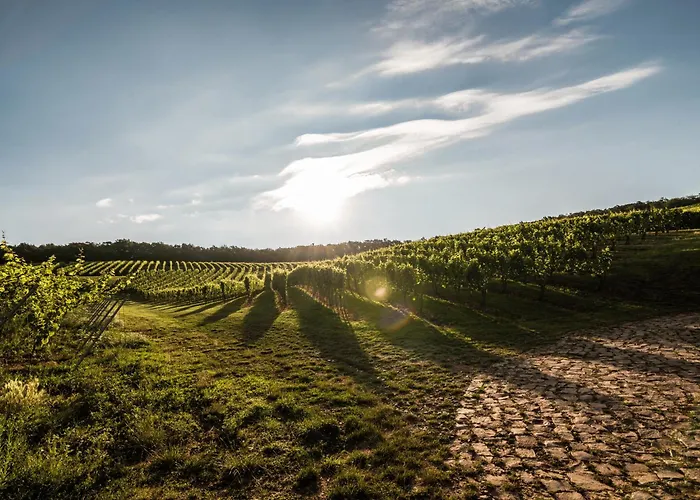 아파트 Weingut Marx - Rotes Haus *