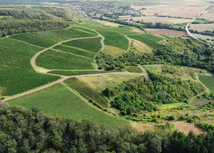 아파트 Weingut Marx - Rotes Haus *